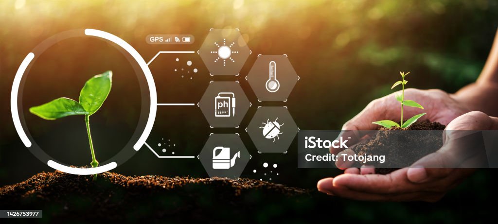 IoT Agriculture